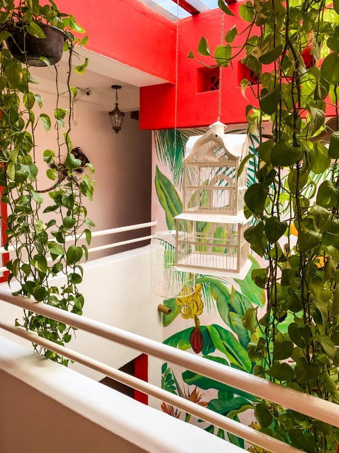 פוארטו ואלארטה La Iguana Vallarta Lgbt Adults Only - Romantic Zone - Party Clubbing Street מראה חיצוני תמונה